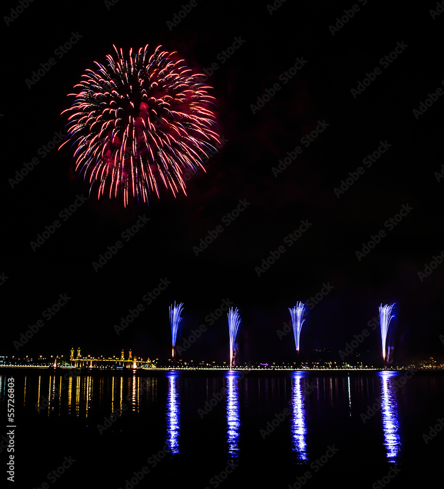 Fireworks display in the night sky
