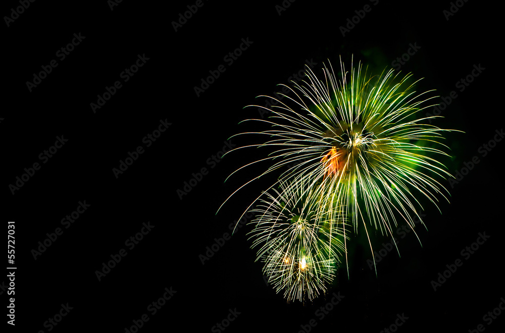 Fireworks display in the night sky Fireworks display in the night sky