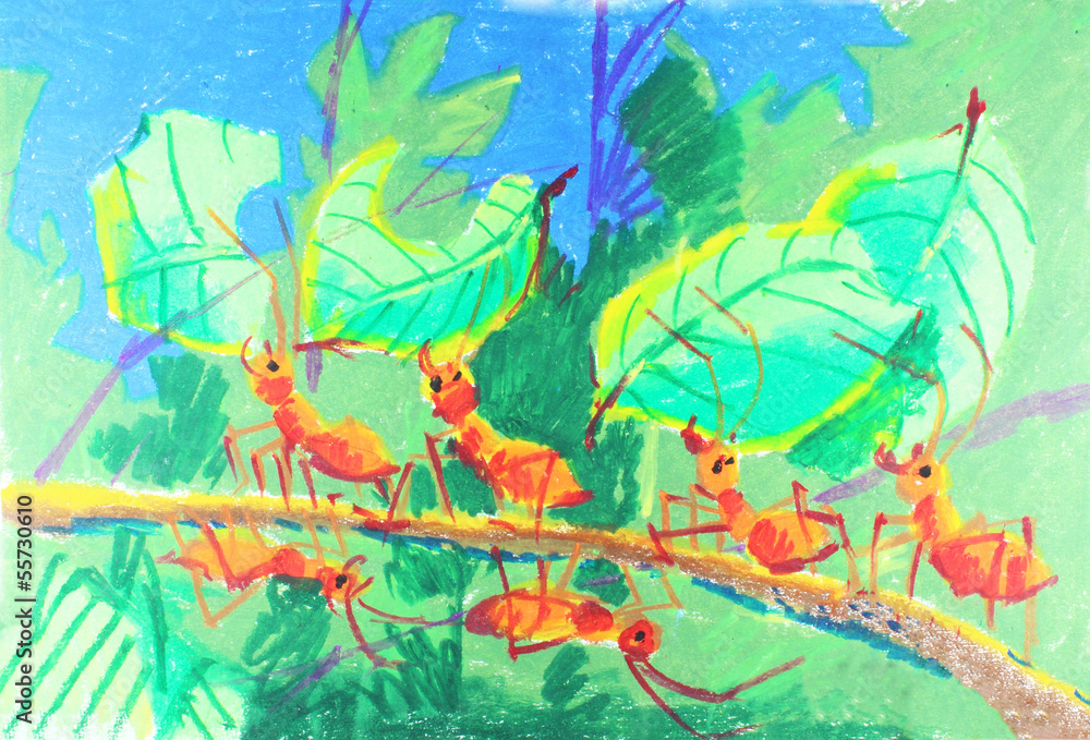 Obraz premium ants working together