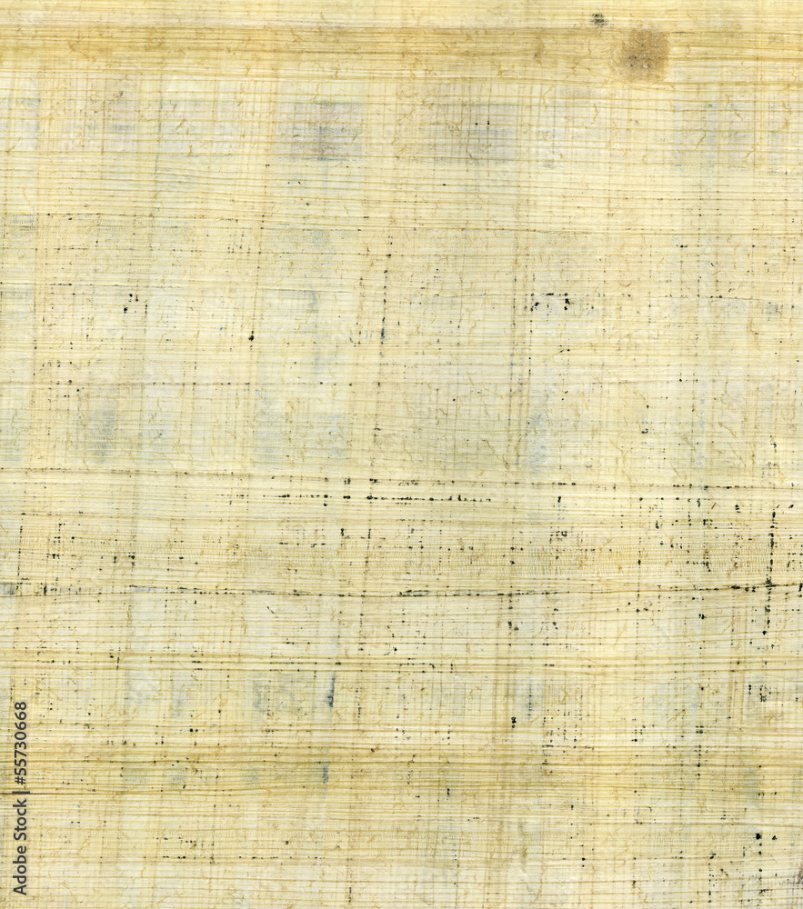 Fototapeta premium original papyrus texture