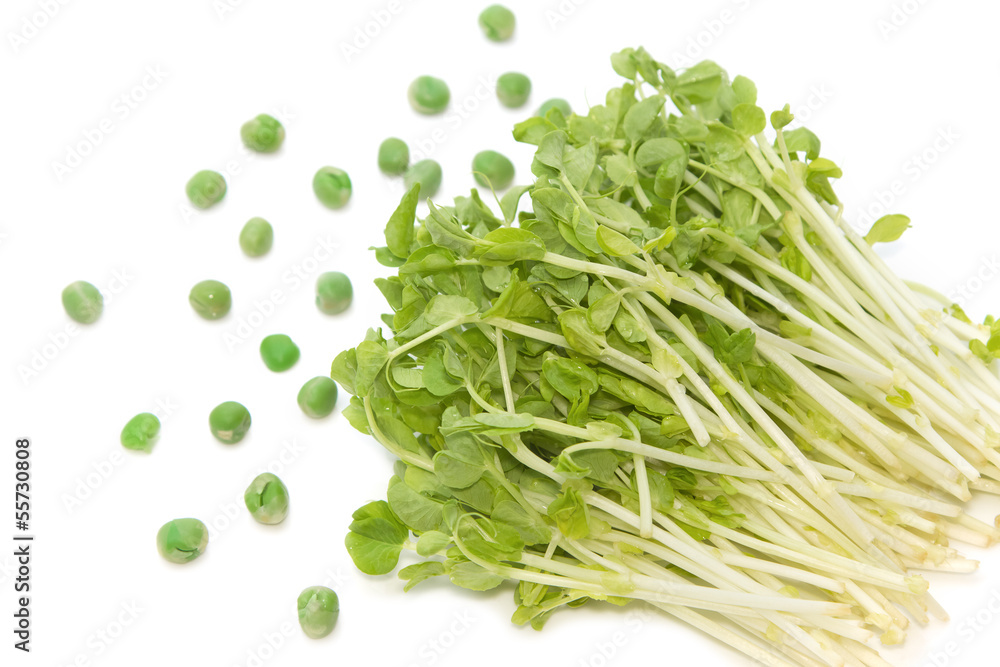 Snow Pea Sprouts with green pea Snow Pea Sprouts with green pea