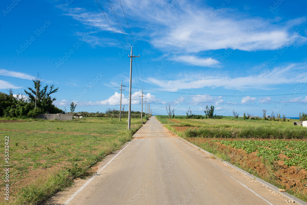 Fototapeta premium 田舎道