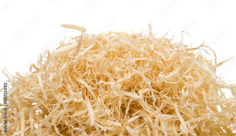Wood shavings on white background with copy space.