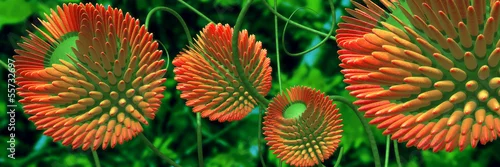 Obraz red flowers 3d