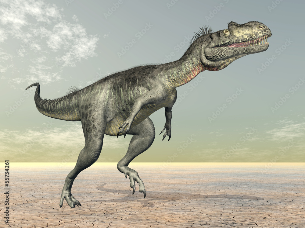 Fototapeta premium Dinosaur Megalosaurus