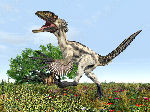 Fototapeta Naklejka Na Ścianę i Meble -  Dinosaurier Deinonychus