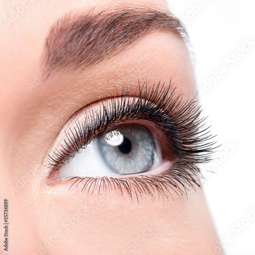 Fototapeta Beauty female eye with curl long false eyelashes