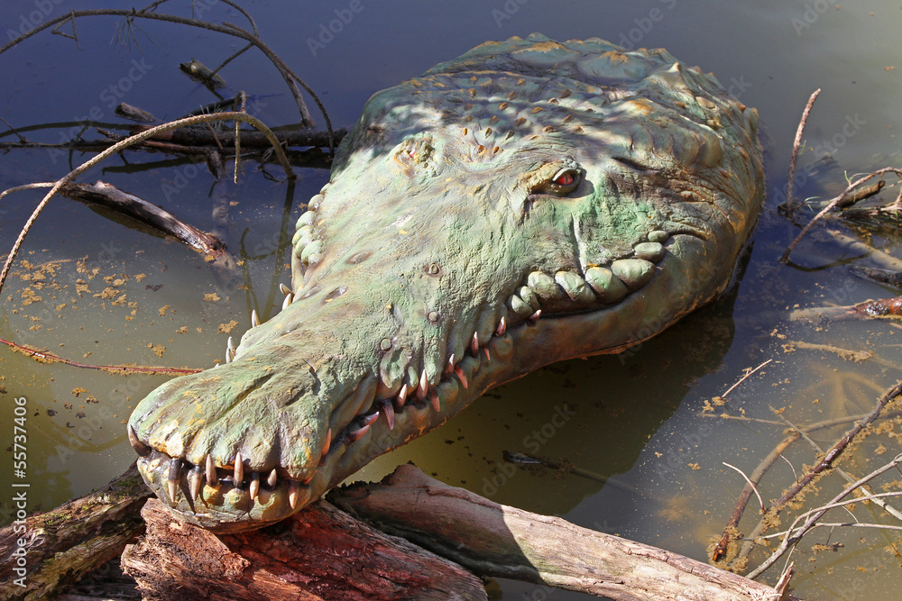 Obraz premium Old crocodile