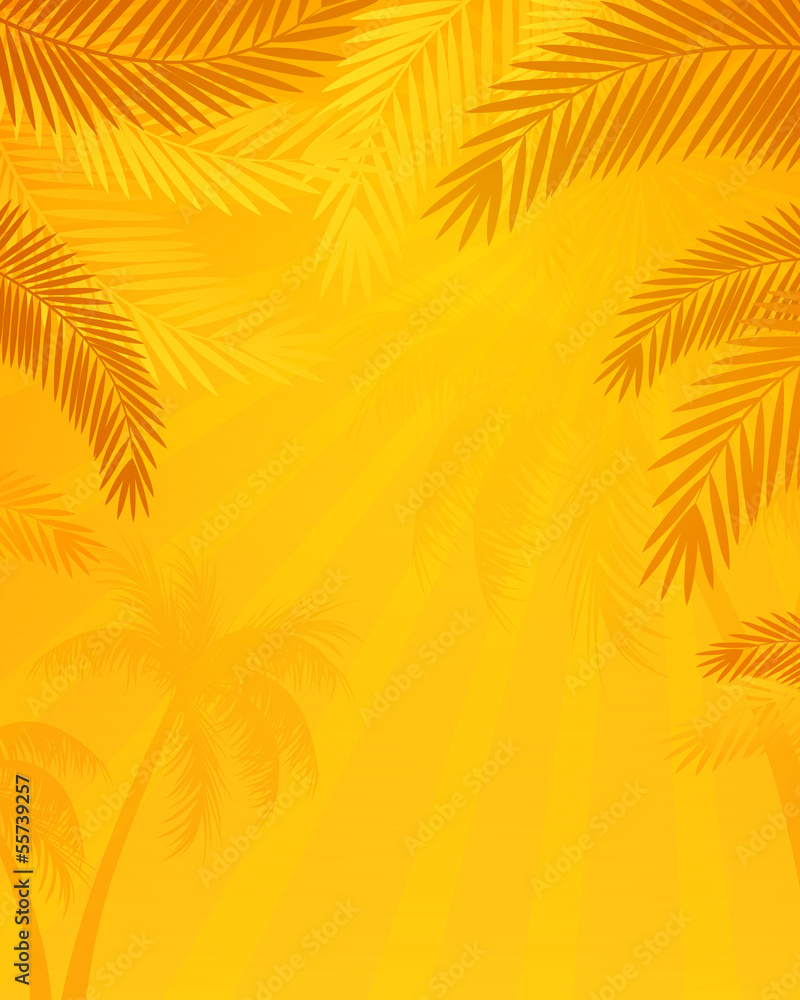 Fototapeta premium Vector Illustration of a Natural Background with Palm Trees