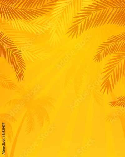 Vector Illustration of a Natural Background with Palm Trees