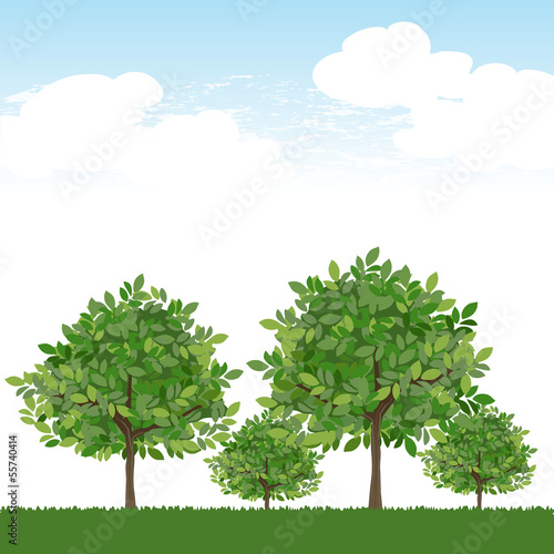 木 風景 空 Trees on lush green and blue sky