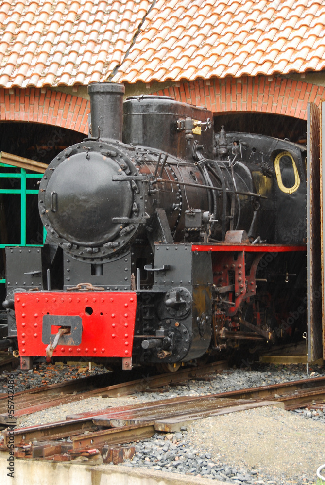 Naklejka premium Locomotive à vapeur à Rillé, France