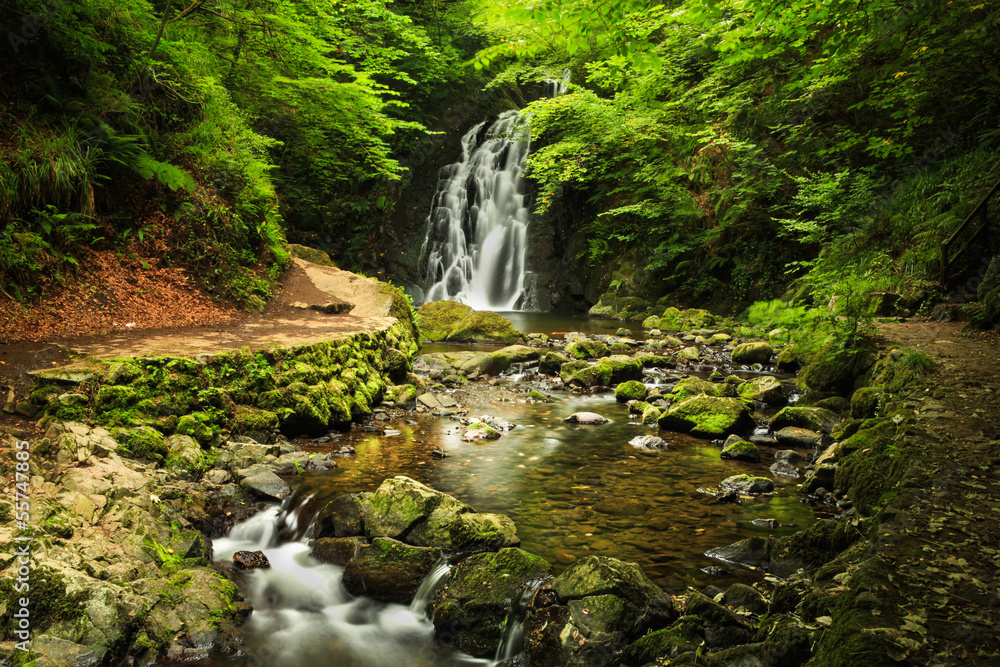 Obraz premium Glenoe waterfall.