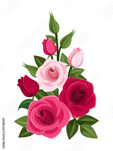 Branch of red and pink roses, buds and leaves. Vector.