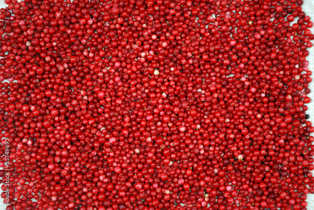 The ripe berries of cowberries. The ripe berries of cowberries.