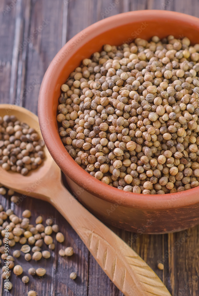 coriander coriander