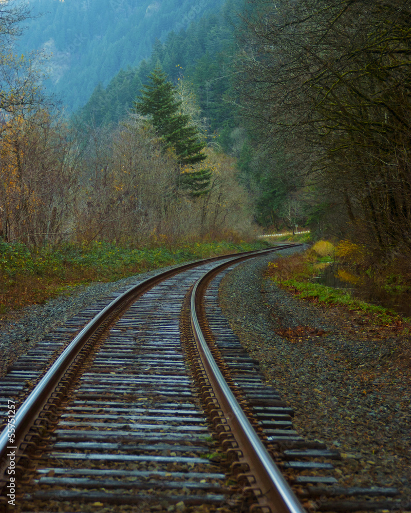 Fototapeta premium model