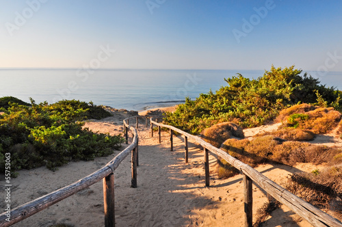 Obraz na plátně DUNE DI CAMPOMARINO, PUGLIA. ITALIA