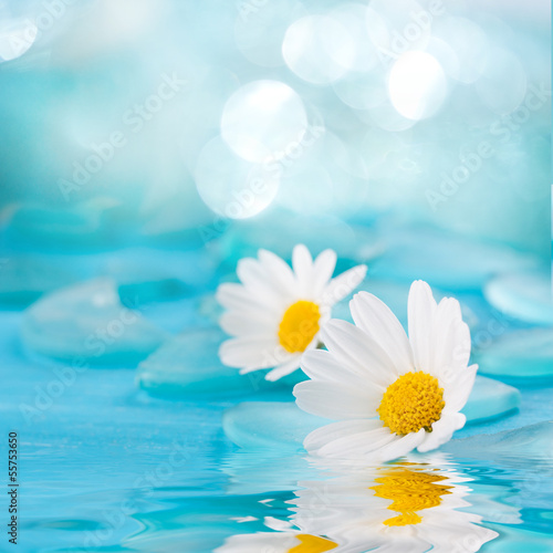 Spa Hintergrund - Blüten im Wasser