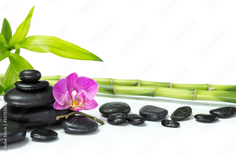 purple orchid with bamboo and many stones - obrazy, fototapety, plakaty 