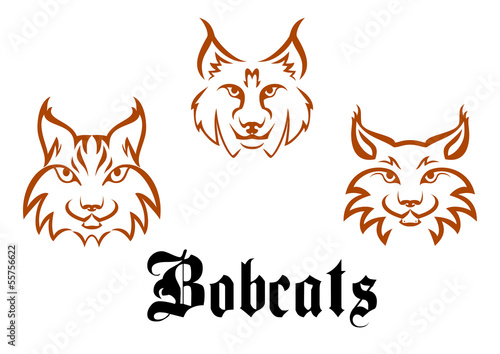 Fototapeta Naklejka Na Ścianę i Meble -  Bobcats and lynxs