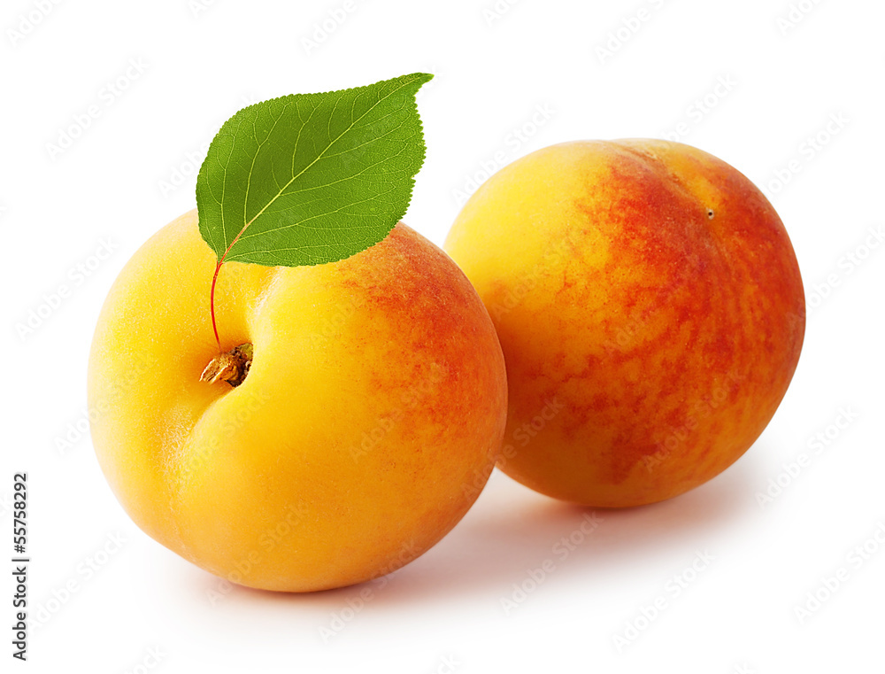 Two ripe yellow apricot with leaves Two ripe yellow apricot with leaves
