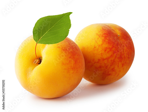Two ripe yellow apricot with leaves