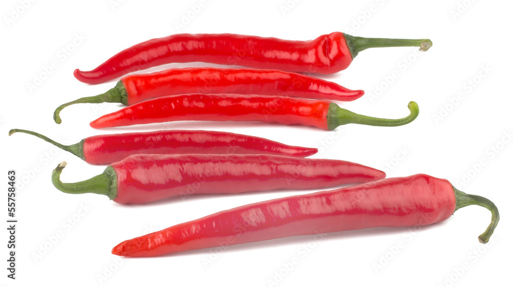 Hot chili peppers isolated on white background Hot chili peppers isolated on white background