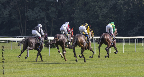 Horse racing © stepmar