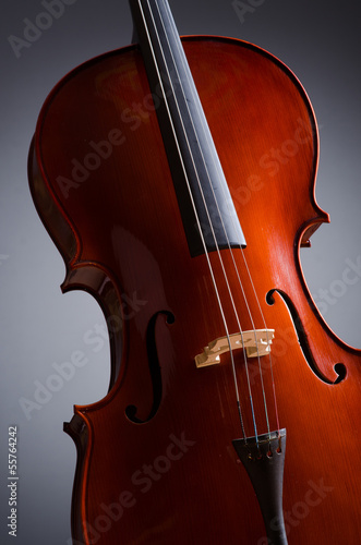 Violing against the dark background
