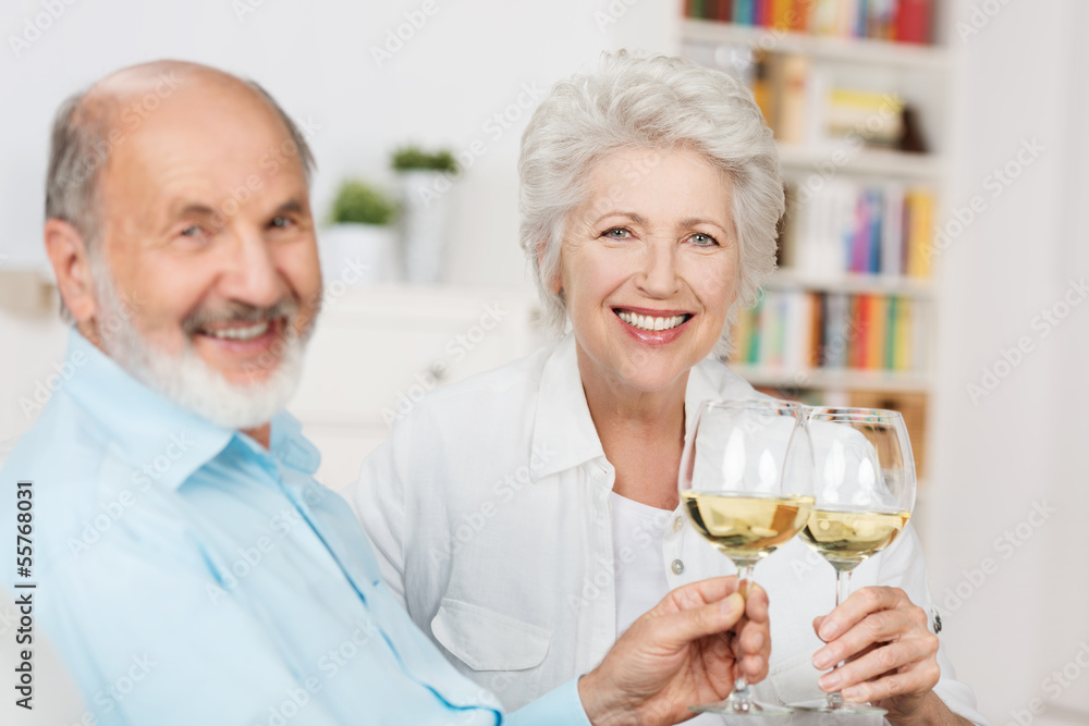 älteres ehepaar prostet mit einem glas wein älteres ehepaar prostet mit einem glas wein