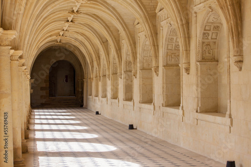 Abbaye de Fontevraud photo