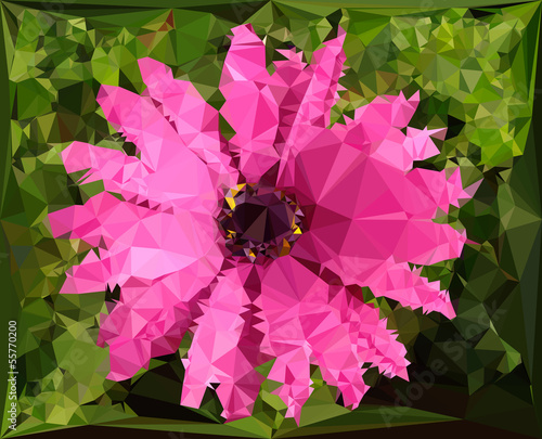 pink flower graphic illustration