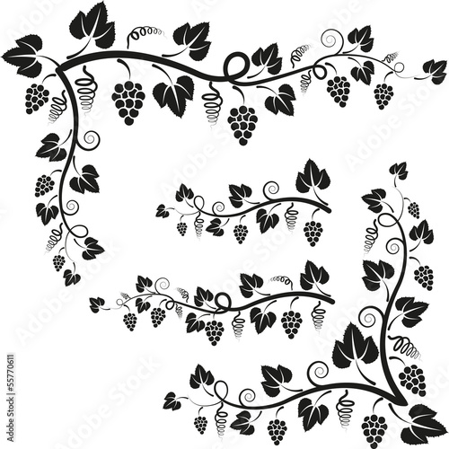 corners and twigs with vine