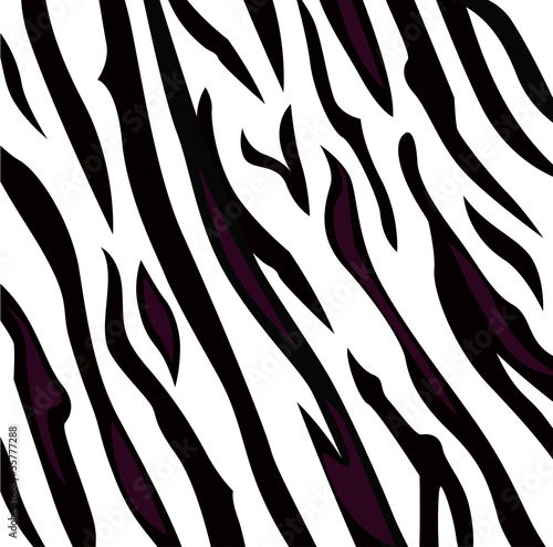 Zebra black and white pattern with stripes