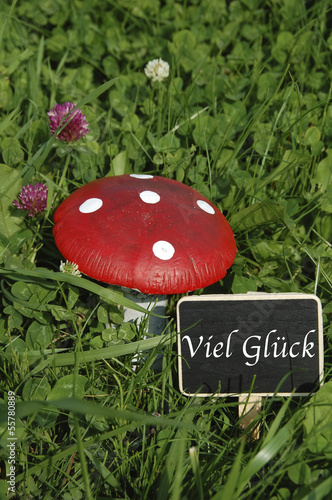 Viel Glück " Glückspilz "!