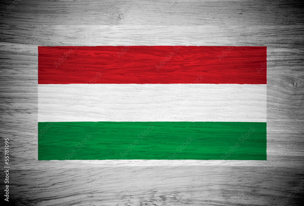 Hungary flag on wood texture