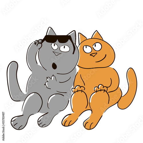 Two cats looking at something