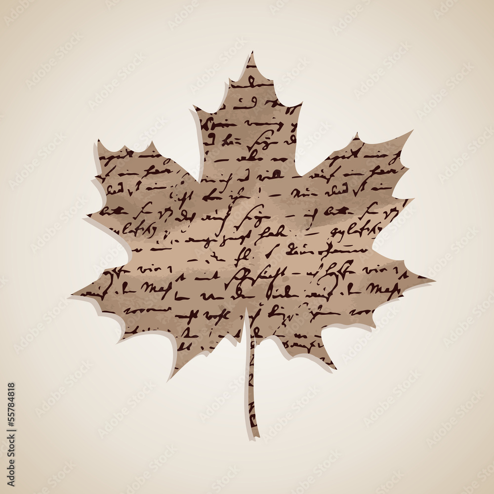 Fototapeta premium Fall season Autumn maple leaf with writings background EPS10 fil