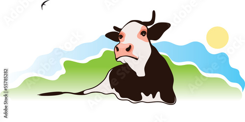 cow in the meadow