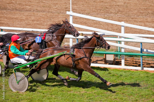 Course > Chevaux > Trot photo