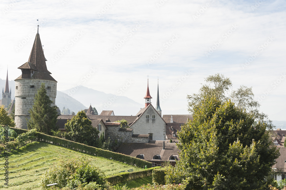 Altstadt von Zug, mit Kapuzinerturm und Weinberge, Schweiz