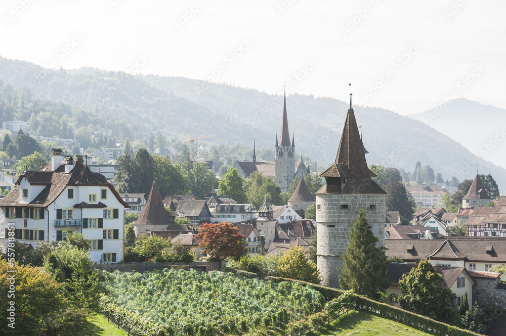 Zug, Weinberge und Altstadt mit Kapuzinerturm, Schweiz