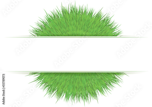 Fascia bianca su cespuglio di erba