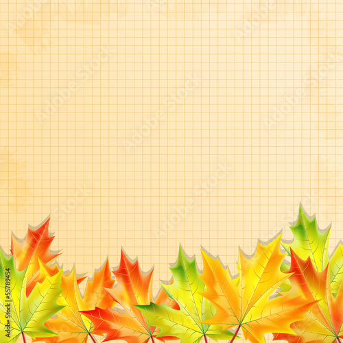 background with autumn leaves and sheet of paper into a cell.aut