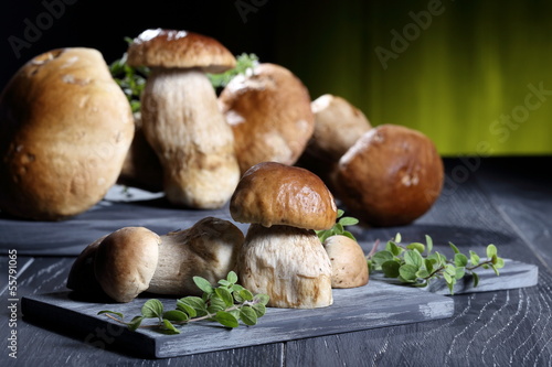 funghi freschi boletus su tavolo grigio sfondo verde