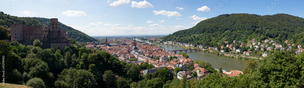Heidelberg city panorama