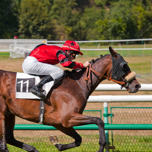 Course > Chevaux > Galop