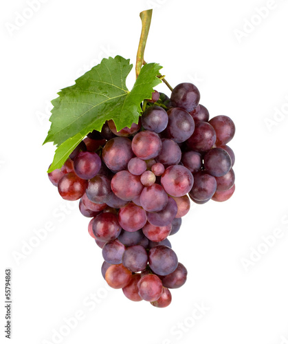 Fresh grape.