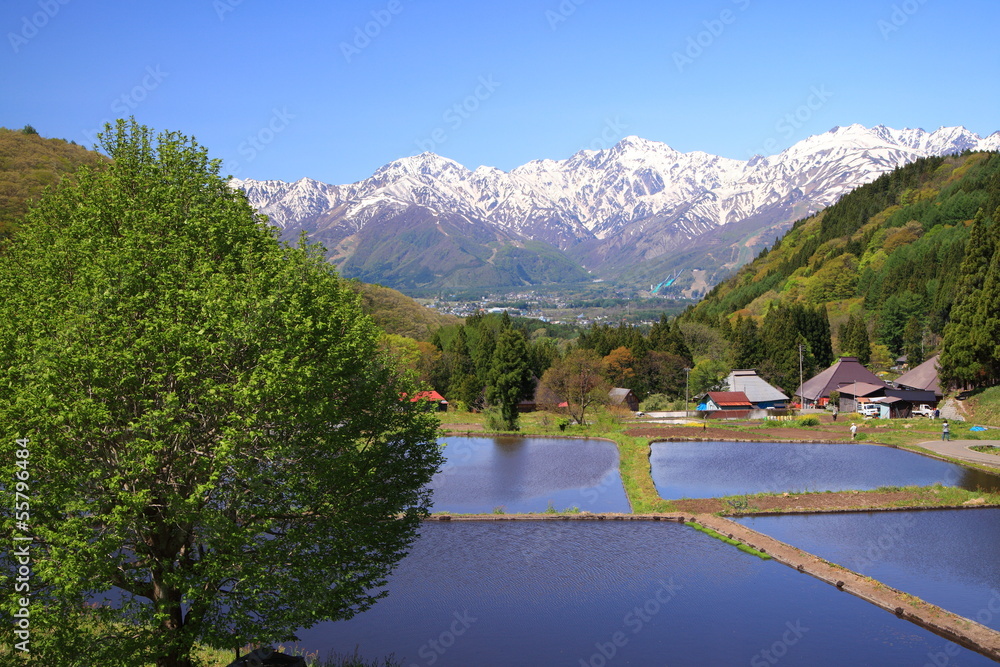 Japan Alps and terrace paddy field, Hakuba village Aoni